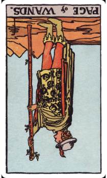 Weekly Tarot Forecast